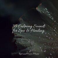 35 Calming Sounds for Spa & Healing