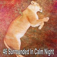 46 Surrounded In Calm Night