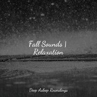 Fall Sounds | Relaxation