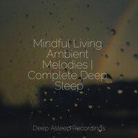 Mindful Living Ambient Melodies | Complete Deep Sleep