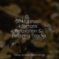 50 Hypnotic Ultimate Relaxation & Relaxing Tracks