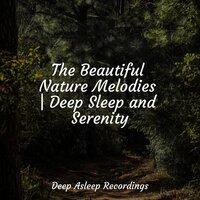 The Beautiful Nature Melodies | Deep Sleep and Serenity