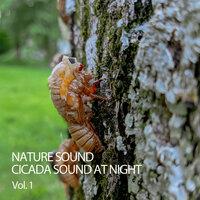 Nature Sound: Cicada Sound At Night Vol. 1