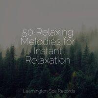 50 Relaxing Melodies for Instant Relaxation