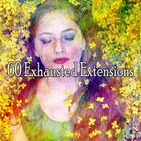 60 Exhausted Extensions