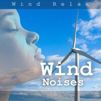 Wind Noises
