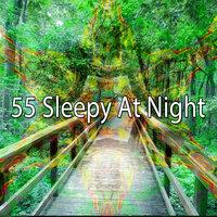 55 Sleepy At Night