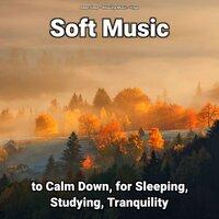 Soft Music to Calm Down, for Sleeping, Studying, Tranquility