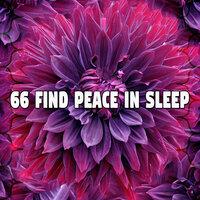 66 Find Peace In Sleep