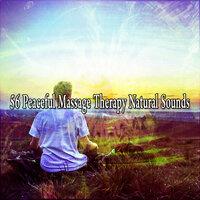 56 Peaceful Massage Therapy Natural Sounds