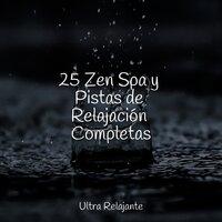 25 Zen Spa y Pistas de Relajación Completas