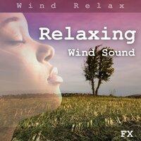 Relaxing Wind Sound FX
