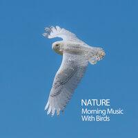 Nature: Morning Music With Birds