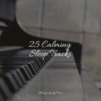 25 Calming Sleep Tracks
