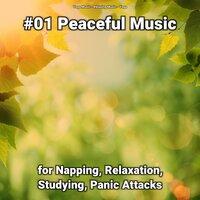 #01 Peaceful Music for Napping, Relaxation, Studying, Panic Attacks
