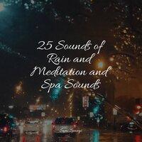 25 Sounds of Rain and Meditation and Spa Sounds