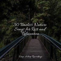 50 Timeless Nature Songs for Rest and Relaxation