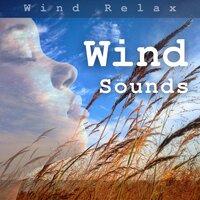 Wind Sounds