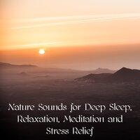 Nature Sounds for Deep Sleep, Relaxation, Meditation and Stress Relief