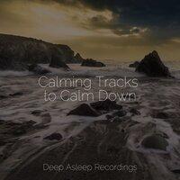 Calming Tracks to Calm Down