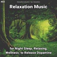 #01 Relaxation Music for Night Sleep, Relaxing, Wellness, to Release Dopamine