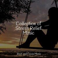 Collection of Stress Relief Music