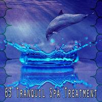 63 Tranquil Spa Treatment