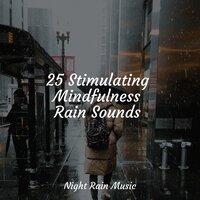 25 Stimulating Mindfulness Rain Sounds
