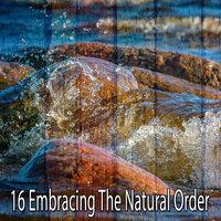16 Принятие естественного порядка