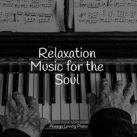 Relaxation Music for the Soul