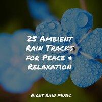 25 Ambient Rain Tracks for Peace & Relaxation