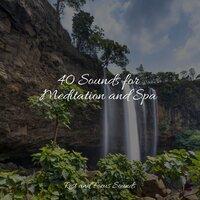 40 Sounds for Meditation and Spa
