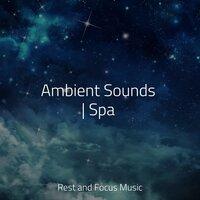 Ambient Sounds | Spa