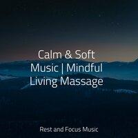 Calm & Soft Music | Mindful Living Massage