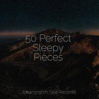 50 Perfect Sleepy Pieces