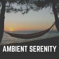 Ambient Serenity