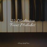 25 Meditation Focus Melodies