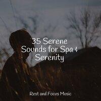 35 Serene Sounds for Spa & Serenity