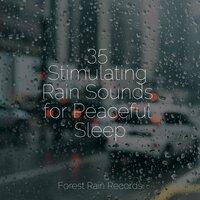 35 Stimulating Rain Sounds for Peaceful Sleep