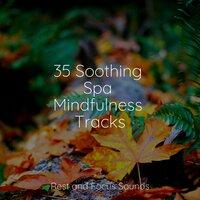 35 Soothing Spa Mindfulness Tracks