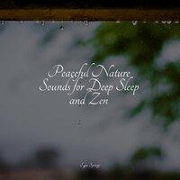Peaceful Nature Sounds for Deep Sleep and Zen