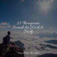 35 Therapeutic Sounds for Work & Study