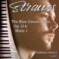 The Blue Danub Waltz, Op. 314: Waltz 1