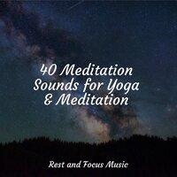 40 Meditation Sounds for Yoga & Meditation