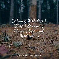 Calming Melodies | Sleep | Stunning Music | Spa and Meditation