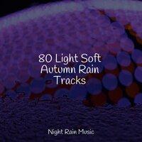80 Light Soft Autumn Rain Tracks