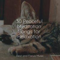 30 Peaceful Meditation Songs for Relaxation