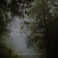 30 Tranquil Sounds of Nature for Spa Chill Ambience