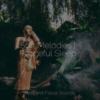 Soft Melodies | Peaceful Sleep