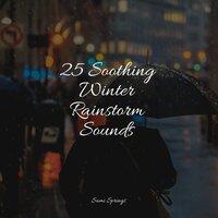 25 Soothing Winter Rainstorm Sounds
